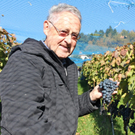 KOE_Weinbau G__fis 31_jpg-1319311680
