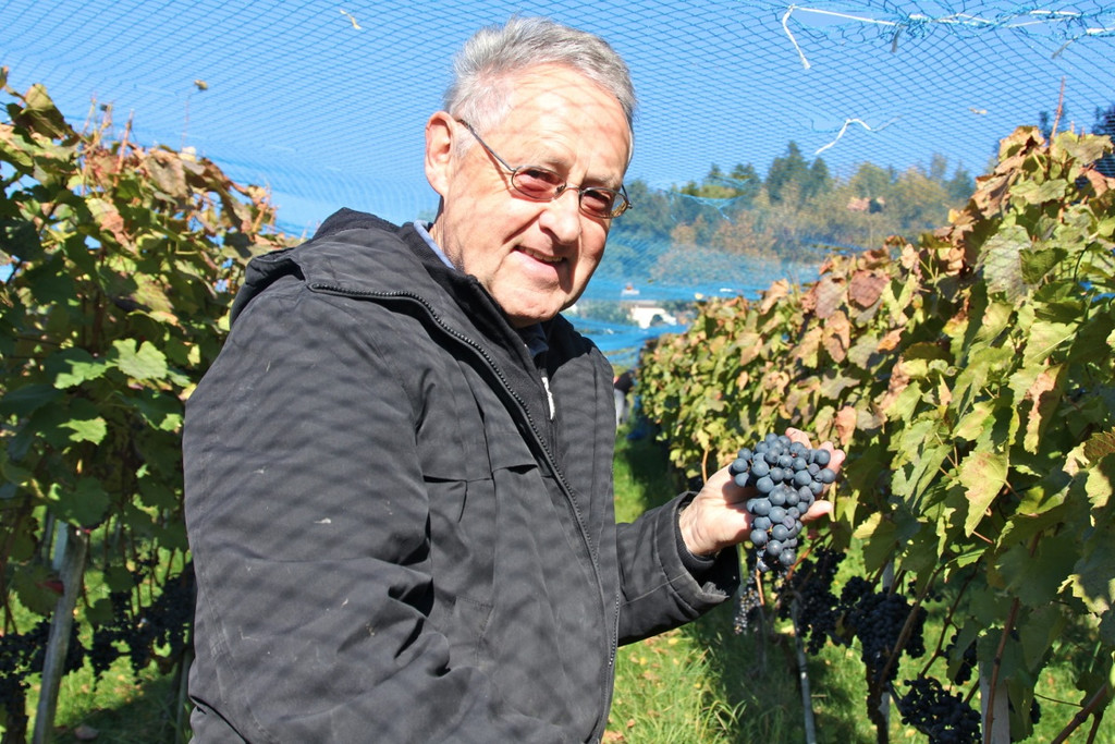 KOE_Weinbau G__fis 31_jpg-1319311680