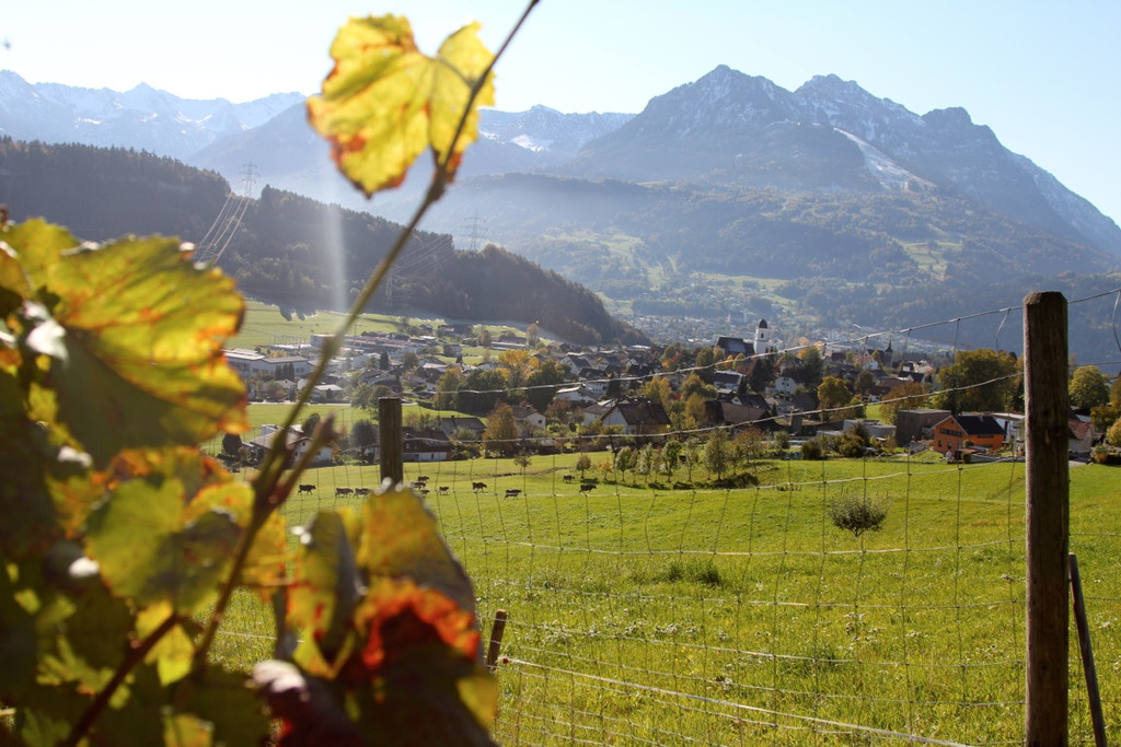 KOE_Weinbau G__fis 39_jpg-1319311887