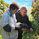KOE_Weinbau G__fis 42_jpg-1319311937