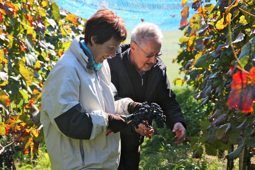 KOE_Weinbau G__fis 42_jpg-1319311937