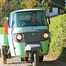 KOE_Weinbau G__fis 47_jpg-1319312087