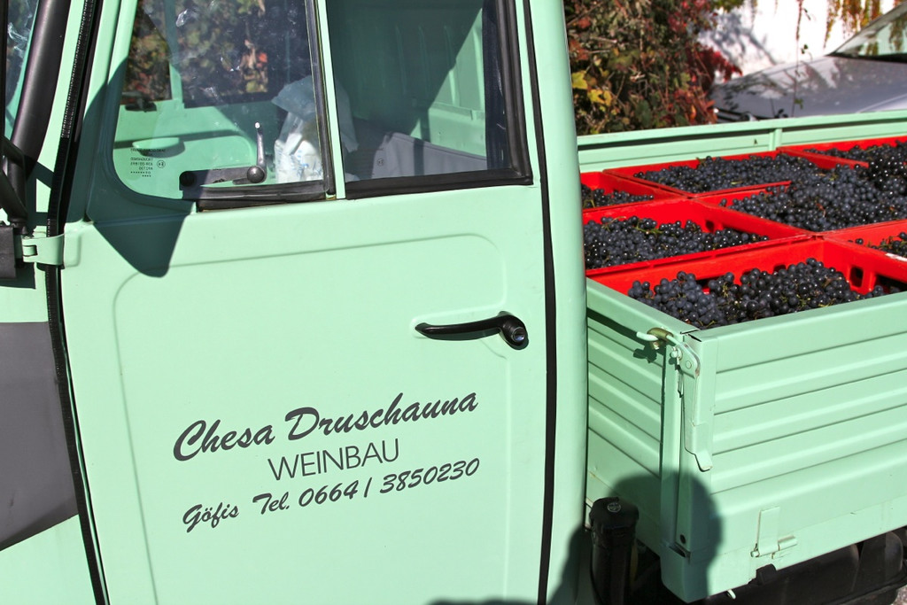 KOE_Weinbau G__fis 49_jpg-1319312153