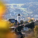 KOE_Weinbau G__fis 53_jpg-1319312241