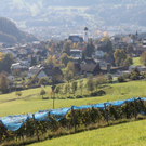 KOE_Weinbau G__fis 54_jpg-1319312280