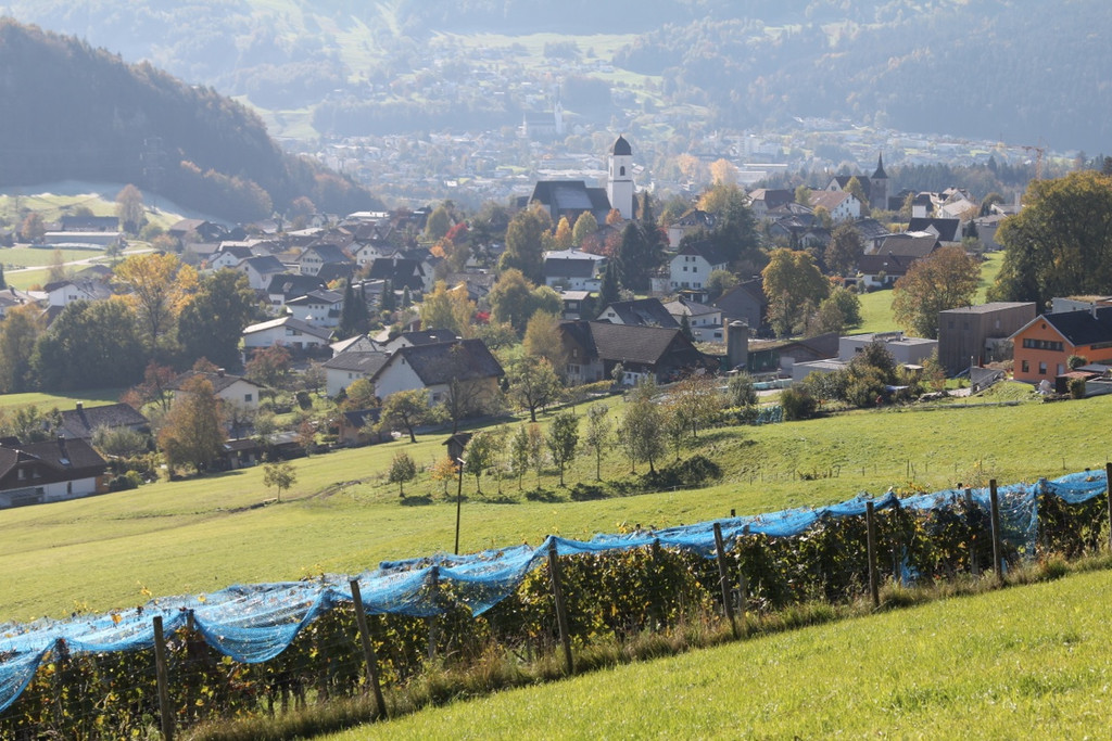 KOE_Weinbau G__fis 54_jpg-1319312280