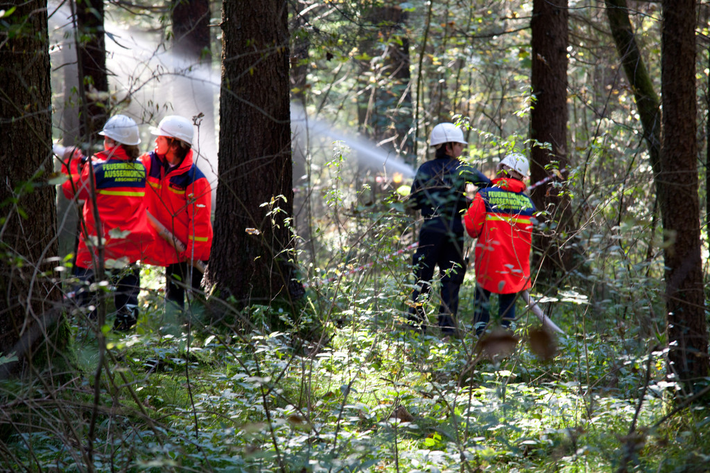 IMG_4514_jpg-1319312826