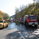 22102011bussffaktivnews_091.jpg