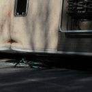 22102011bussffaktivnews_108.jpg