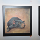 galerie5_jpg-1319360383