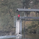 22102011steyrermuelnffaktivnews_017.jpg