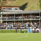PA220007_JPG-1319360873