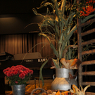 IMG_8264_jpg-1319364442