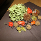 IMG_8392_jpg-1319365287