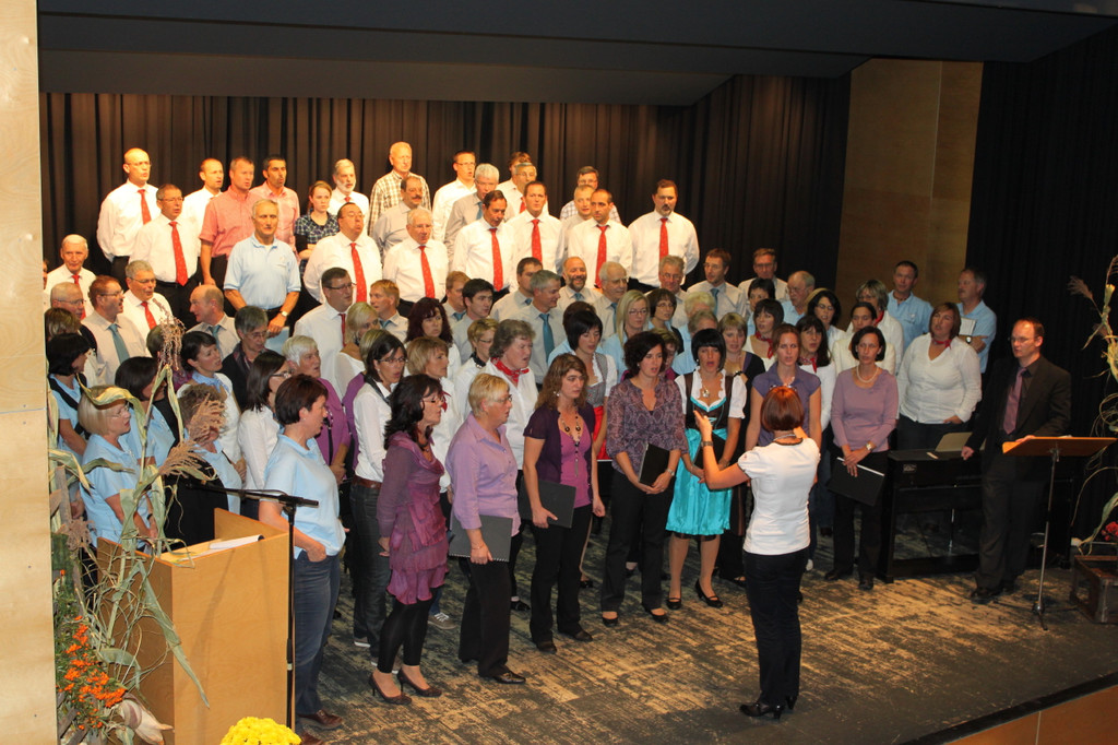 IMG_8411_jpg-1319365376