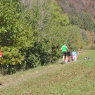 23102011gaisberglaufwm2aktivnews_14.JPG