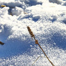 normal_23102011fmt_vorwinterlicheimpres_mw_02.JPG