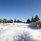 normal_23102011fmt_vorwinterlicheimpres_mw_03.JPG