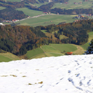 normal_23102011fmt_vorwinterlicheimpres_mw_08.JPG
