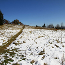 normal_23102011fmt_vorwinterlicheimpres_mw_12.JPG