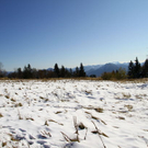 normal_23102011fmt_vorwinterlicheimpres_mw_13.JPG