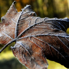 Pics: Bluntautal in Golling