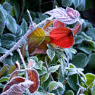 ABD0012-20111023.jpg