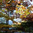 ABD0015-20111023.jpg