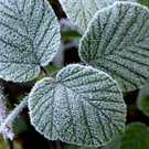 ABD0013-20111023_001.jpg