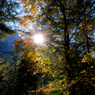 ABD0014-20111023_001.jpg