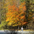 ABD0017-20111023.jpg