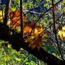 ABD0018-20111023.jpg
