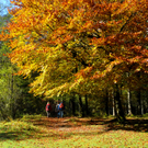 ABD0019-20111023.jpg