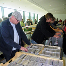 Bild 833_jpg-1319393041