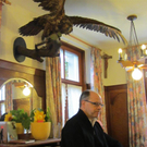 M__usebussard Ausschnitt _Large__jpg-1319406435