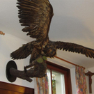 IMG_1686 _Large__jpg-1319406437