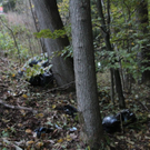 normal_23102011vub20ffaktivnews_26.jpg