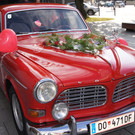 DSC05657.JPG