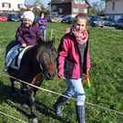 DSC_0069_JPG-1319442742