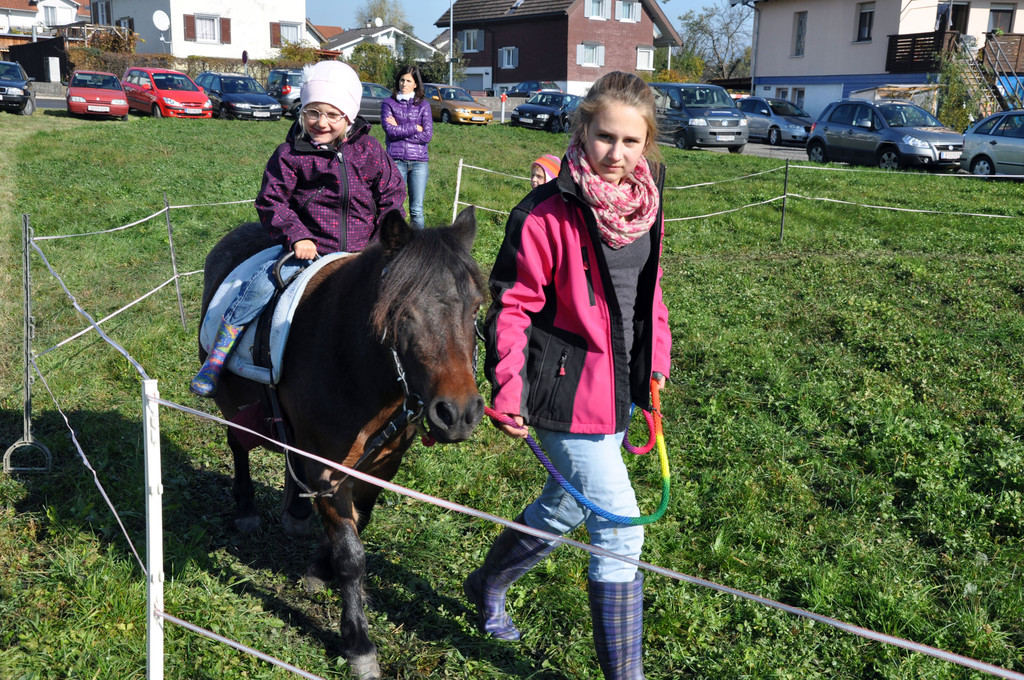 DSC_0069_JPG-1319442742