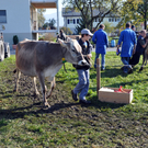 DSC_0072_JPG-1319442800