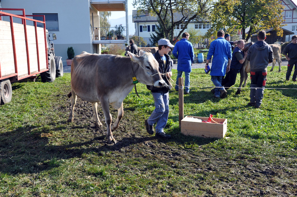 DSC_0072_JPG-1319442800