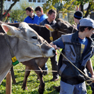 DSC_0073_JPG-1319442827