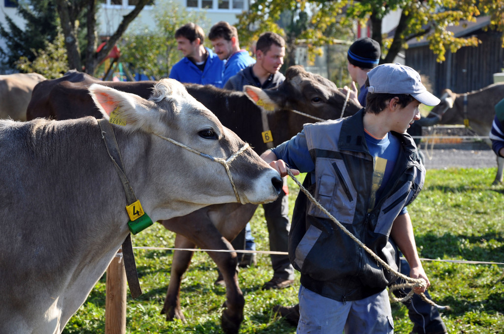 DSC_0073_JPG-1319442827