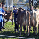 DSC_0079_JPG-1319442868