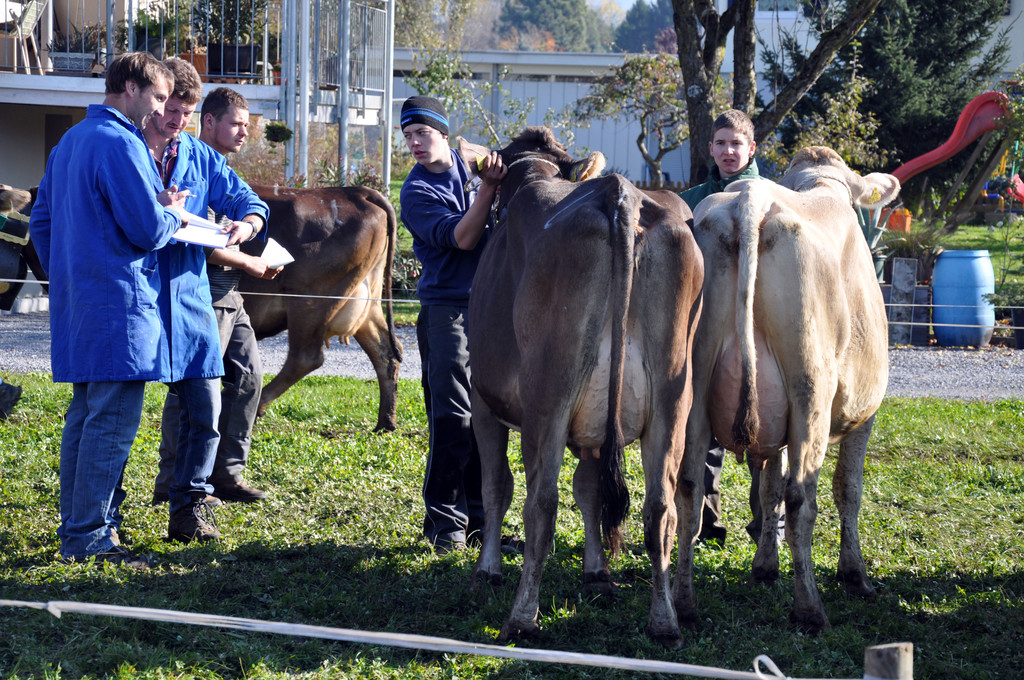 DSC_0079_JPG-1319442868