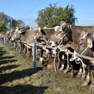 DSC_0086_JPG-1319442935