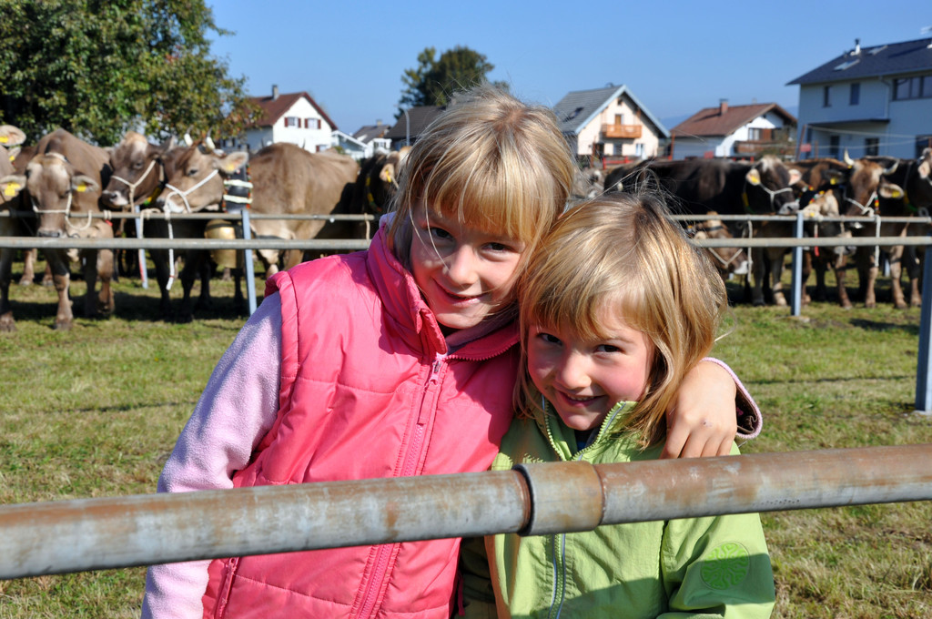 DSC_0102_JPG-1319443120