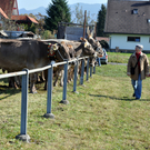 DSC_0104_JPG-1319443252