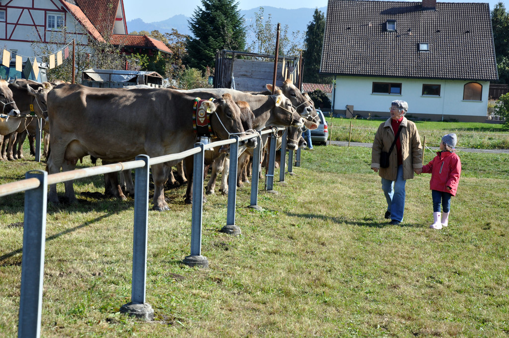 DSC_0104_JPG-1319443252